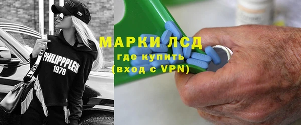 индика Краснослободск
