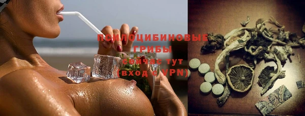индика Краснослободск