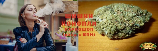индика Краснослободск