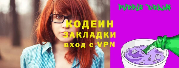 индика Краснослободск