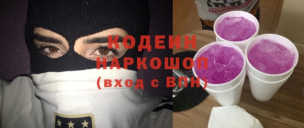 индика Краснослободск