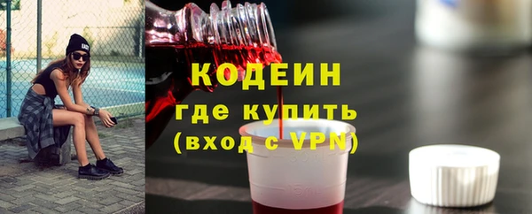 индика Краснослободск