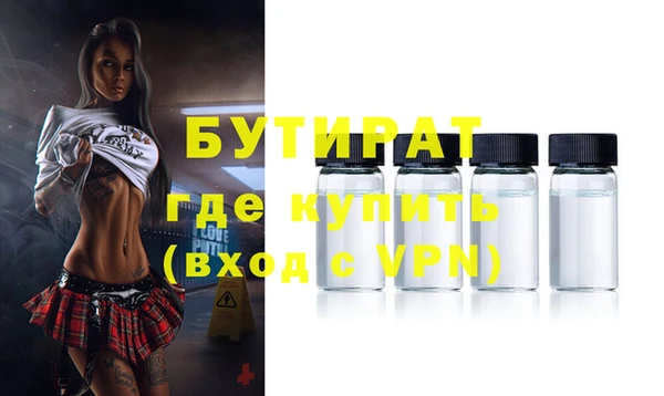 индика Краснослободск