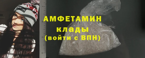 индика Краснослободск