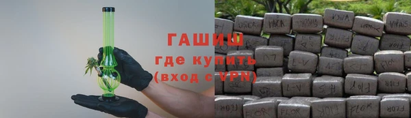 индика Краснослободск
