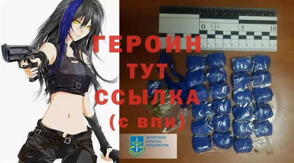 индика Краснослободск