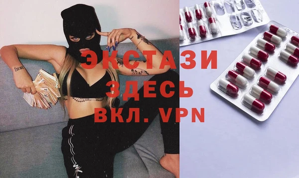 индика Краснослободск