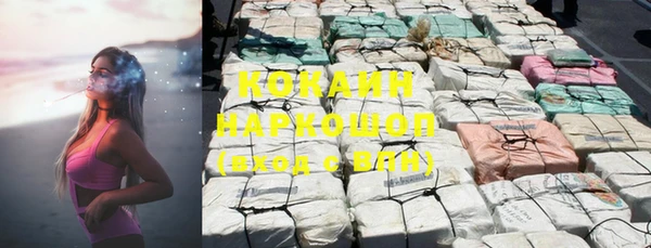 индика Краснослободск
