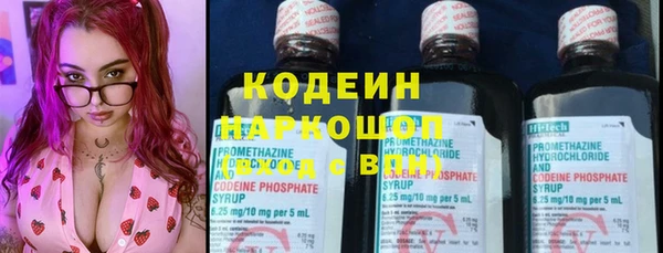 индика Краснослободск
