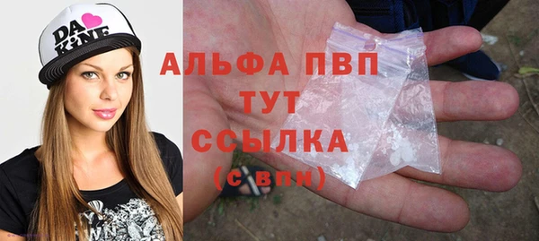 индика Краснослободск