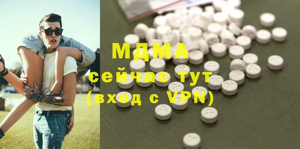 индика Краснослободск