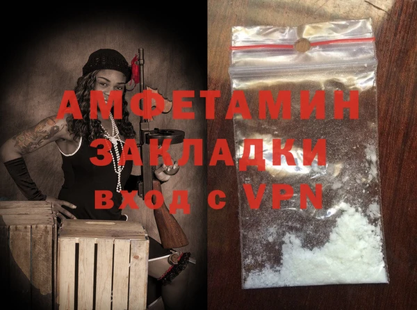 индика Краснослободск